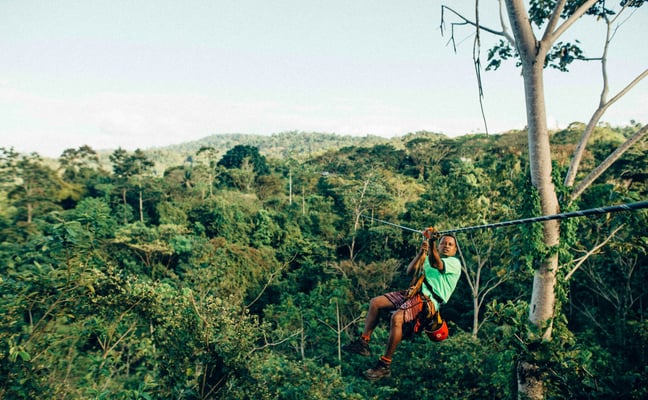 Person ziplining over dense jungle canopy